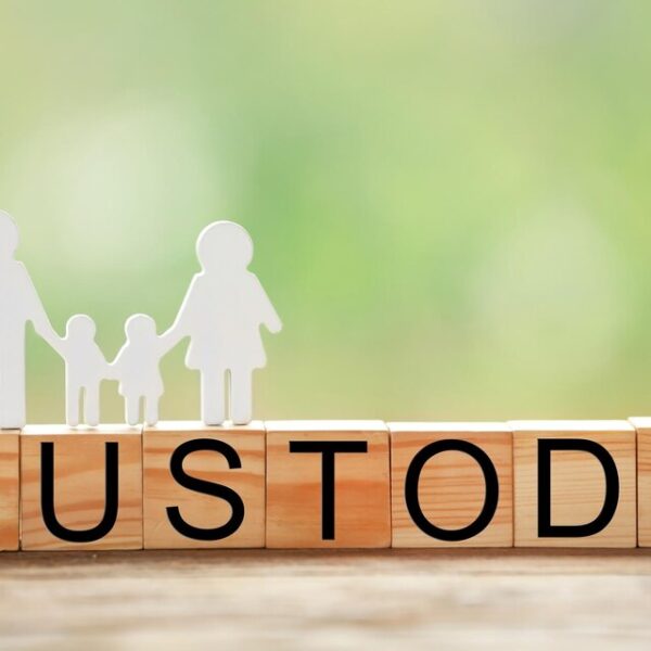 Child Custody / Guadianship