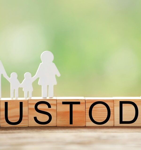 Child Custody / Guadianship